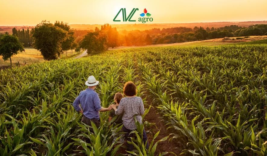 Harvesting Success with our Agro Website Development Services